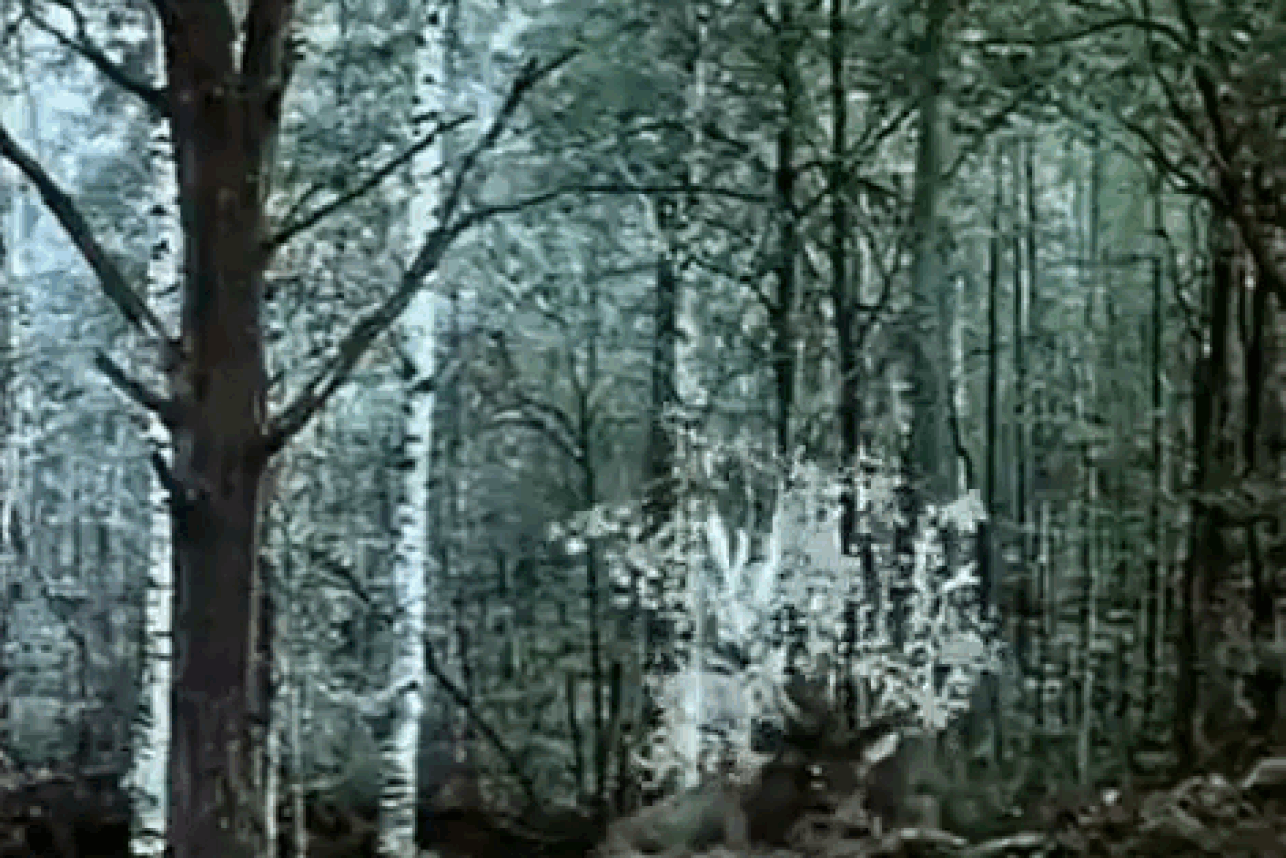 кадр из фильма «Тот самый Мюнхгаузен», 1980 олень с вишневыми рогами